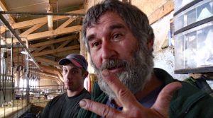 Melkstand optimieren